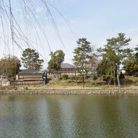 奈良の世界遺産を歩く．１　奈良公園から春日奥山原生林