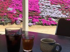 広島☆ふくろうの花畑で芝桜鑑賞