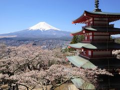 新倉山浅間公園～三ッ峠山登山　満開の桜と富士山と五重塔