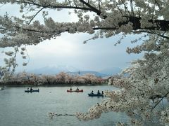 信州の桜&城址巡り～その①　千本桜の上田城址～臥竜公園～谷厳寺の荘厳さ