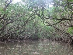 バニラエアで行く弾丸奄美大島の旅