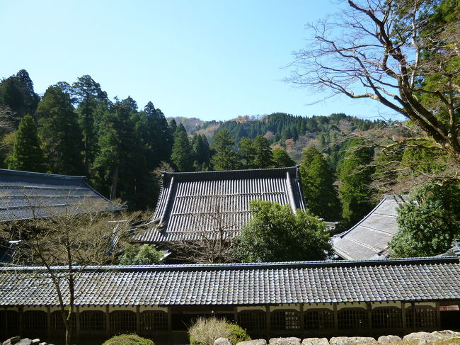 兼六園・永平寺・東尋坊バスツアー一泊二日 with 台湾の友人夫婦 2019/04/12-13 ②<br /><br />昨夜は、しっかりお酒を飲んだので、10時前には就寝、ぐっすり眠れました。朝食時間は、限られているので、時間通りに食堂へ行くと、もう満杯、客室の収容人員に比べて、食堂が収容人が少ないのは明らか、団体客がいなければ、それなりに回転するのでしょうが、団体客ばかりだとそうもいきません。10分くらい待たされて、席に着けました。采配している女性従業員が頑張っているので、誰も文句は言いません、流石日本人。この様子だと食べたら直ぐに後の人に譲らないといけないですね。料理は、和洋中がありましたが、私は和食中心でいただきました。それなりに満足できました。食事の後のコーヒーを飲む頃には、ごった返していた食堂は平穏を取り戻し、待っているお客もいませんでした。なるほど、一時的な混雑だったのですね。<br /><br />朝食後、バスに乗って永平寺へ行きます。永平寺は、学生時代に行って以来で会うから50年振りです。前回行った時は、真冬の時で、板張りの冷たさを感じながらお坊様のお話を聞いたように記憶をしています。私にとっては永平寺と言えば、山の中の荘厳で壮大であり、高潔で凛としたお寺でした。冬場でしたので、余計にそう感じたかもしれません。50年振りの永平寺は記憶通りのお寺でしたが、冬場に来た方が良かったように思いました。<br /><br />永平寺観光の後、再びバスに乗って東尋坊に着きました。バスをお降りた所から、東尋坊の海岸までの道の両側には、お土産屋や食事処が建ち並んでおり、番屋のような建物もありました。以前に数回来ていますが、はっきり記憶しているのが海岸の風景だけですが、周辺の風景は随分変わったように思いました。自然さが影をひそめたのが残念です。昼食時でしたので、思い思いお店を選び好きなものを食べていました。私はニシンそばを、妻はイカ焼きを、友人夫婦はコーヒーショップに入り、食事をしました。<br /><br />観光をすべて終え、後は東京まで戻ります。車窓から残雪が残る山々が見えました。添乗員さんによると立山連峰だそうです。トイレ休憩は、小矢部川SA、名立谷浜サービスエリア、横川サービスエリアなどに停まり、夜8時頃に新宿に着きました。