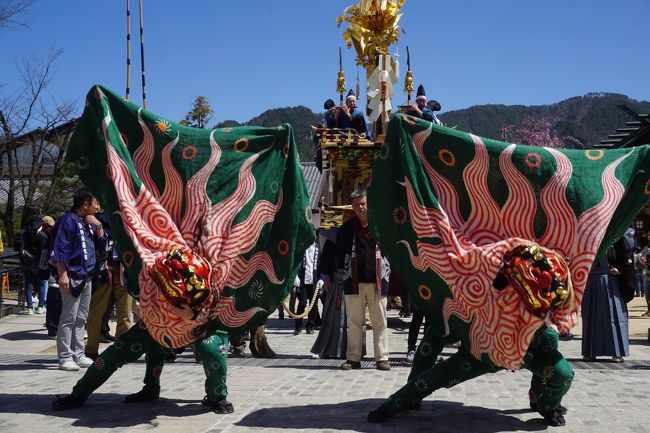 古川祭りと高山市内散策 二日目完 昼間のハイライトは豪華屋台行列とカラクリ奉納 神楽台の大太鼓や宮本組の獅子舞のパフォーマンスも圧巻です 飛騨高山 古川 岐阜県 の旅行記 ブログ By たびたびさん フォートラベル