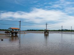 40年ぶりに沖縄へ　（３）西表島テッパン観光コース　その２　由布島＆野生生物保護センター訪問