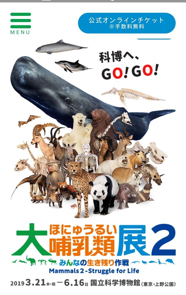 大哺乳類展2。<br />『大好評を博した特別展「大哺乳類展 陸のなかまたち/海のなかまたち」から9年、哺乳類たちが上野に帰ってきます。今回のテーマは「生き残り作戦」。本展では、剥製や骨格標本500点以上の圧倒的なボリュームで、最新の解析映像なども交えながら、哺乳類が獲得した特徴的な能力であるロコモーション(移動運動)を軸に、「食べる」「産む・育てる」際の作戦にも迫ります。』公式HPより抜粋<br />そもそもの始まりは、これでした。<br /><br />予定してたより出かけるのが遅くなってしまい、歩くと開館時間ギリギリになりそうだったので、国立科学博物館へはチャリで行く事にしました。<br />が、科博はもとより、上野公園には駐輪場が在りません★地下にあんなにコスパの悪い駐車場を作っておきながら何つう事だ、当時の都議で今の区長よ！<br />取り敢えず科博の｢大哺乳類展2｣を招待券で楽しんだ(先着順でもらえる180円相当のポストカードも手に入れ、アニマル柄の服か小物を見せてもらえるミュージアムショップの200円割引券もいただいて)後、ランチはバースデークーポンを貰った東京フォーラムのレストランへ向かうのですが、一旦帰ってチャリを置いて出直すのが面倒(定期の有る大手町から1駅歩くし)に思えて、そのまま走っちゃいました。<br />と、此処も駐車場は在っても駐輪場が見当たりません。<br />帰りは皇居沿いを走って、外堀通りに面した大手門の写真でも撮ろうとチャリを停めたら、係員に追い出されました。はぁ？<br />チャリってエコな乗り物でしょ。だからこそ最近あちこちで赤くて可愛いのをネットで貸し出したりもしてるジャン。けど、停める所が無いってどゆこと？ずっと走り続けろってか？<br />翌朝筋肉痛になったので(^^; それを解消すべく、今度は八重桜が咲いてると言う新聞記事を見た飛鳥山公園まで出かける事にしました。<br />素晴らしい！シッカリと駐輪場が在りました、それも何ヵ所も。<br />新札に採用される事が決まって注目を浴び始めた渋沢栄一の別荘の在った飛鳥山公園は染井吉野の花見の場だけじゃないのです。<br />帰りは通りがかりのタイ料理店のテイクアウトランチをゲットして、婆ちゃんとPHOのお昼としました。筋肉痛は見事に消えました♪<br />なので、敬意を表して飛鳥山公園中心の旅行記とさせていただきます