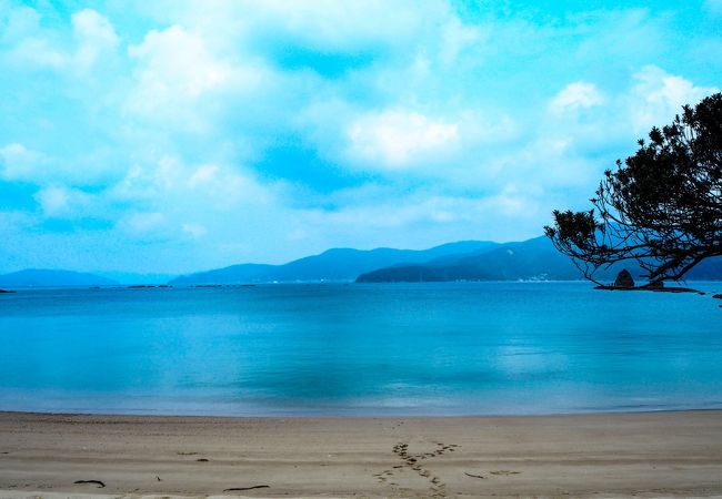 行ってきました奄美大島！行けるのか加計呂麻島！？（３日目）