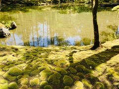 世界文化遺産の西芳寺（苔寺）で、憧れの苔の庭園を見て来ました！