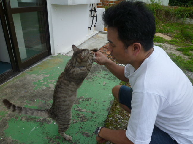 過ごしやすい季節、宮古島にやって来ました。ご無沙汰すること7年。<br />宮古島南部と伊良部島では建設バブルの様でかなりの部分変化が有りました。<br />7年前あたりは観光客が年間40万人だったのが今では110万人になっているらしく3/30にＬＣＣ専用下地空港がオープンしこれからも増える事が予想されそう。<br />4泊5日前半は好天気。後半も何とか持ちこたえてくれ納得、充実の島旅になりました。<br />ここからは4/19～4/21後半記。