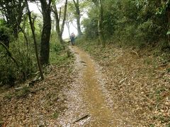 新緑の宝篋山に登る