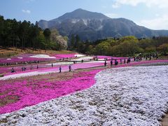 平成最後の遠出　秩父鉄道「SLパレオエクスプレス」と羊山公園の芝桜(*^_^*)