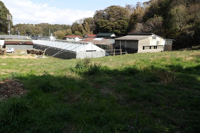 　山の裾野が牧場になっている。しかし、この牧場にも「開発事業のお知らせ」の看板が立てられている。牧場地を宅地開発するというのだ。戸塚駅東口からおよそ徒歩で20分圏内にあるこの辺りでは悪臭が出る牧場経営が難しくなっていることは明らかだ。ここ上倉田町の牧場も舞岡町の養鶏場も悪臭が漂い、近隣住民からは非常に多くの苦情が上がっていることであろう。こうした田園風景が無くなってゆくことは大都市として知られる横浜市内であるのだから当然の成り行きなのかも知れない。<br />（表紙写真は宅地開発される牧場と牧草地）