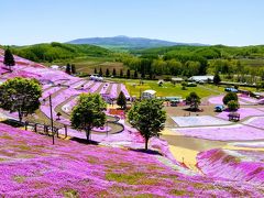 芝桜となんちゃって廃線巡りの旅