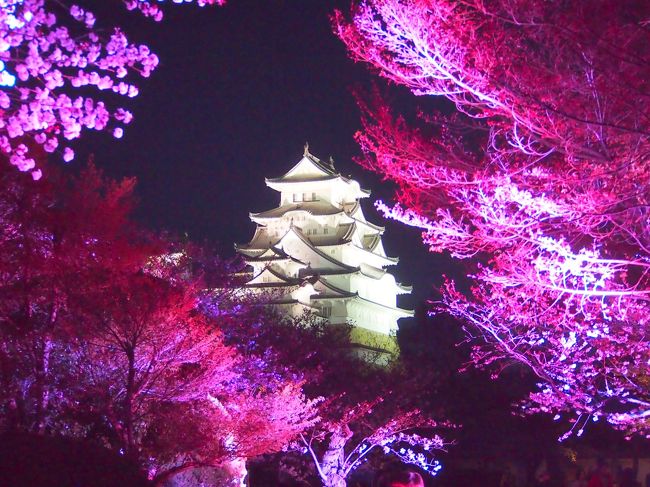 最近京都などの桜を見るのが定番になってる私の春の青春１８きっぷ旅で、今年は姫路城の桜も見てみたいな！と思い急きょ計画を立て、青春１８きっぷの旅をするために急いでホテルを予約し、４月４日から５泊６日で今回の主な目的地、姫路と京都へ桜を見に出かけてきました。<br /><br />４月５日、２日目は姫路で春の姫路城を昼夜楽しもうと、ホテルは２泊分取りましたので、この日は電車での移動などはありません。<br /><br />昼に姫路城内見学と５分咲きの桜を楽しんだ後、夜は西の丸庭園で４月３日～７日にライトアップやプロジェクションマッピング演出の行われる【夜桜会】を見に行きました。<br />白いお城がライトアップされ真っ暗な空に浮かび上がる感じがとっても綺麗でした＾＾<br />夜の姫路城の様子です、良ければ御覧なって下さい＾＾<br /><br /><br />…３日目、当初の予定では姫路にサヨナラして朝から京都へ行って１日楽しもうと思ってたんですが…姫路観光途中で私の相棒の調子が悪くなり、ライトアップ途中には限界が（ＴＴ。）、午前中は姫路で新しい相棒探し、、、<br />半日予定が狂いましたが、新しい相棒も見つかって姫路でお昼を食べてから一緒に京都へ向かいました。<br />