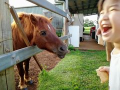 ②大自然動物探検ツアー（催行会社ジェイさんツアー）