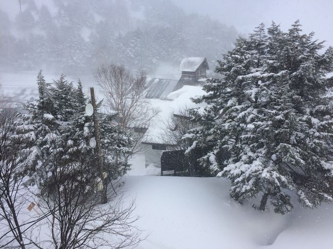 多い時は、四季ごとに行く万座温泉日進館。<br />こちらは、1か月滞在や私達のようなプチ湯治など様々な方々がいらっしゃいます。<br /><br />源泉掛け流しでお湯がとても良く、ハーさんが1番好きな温泉です。<br /><br />スナック菓子もパンパンになる標高1800mと高い山奥で、温泉と自然に癒される3泊4日でした(o^^o)