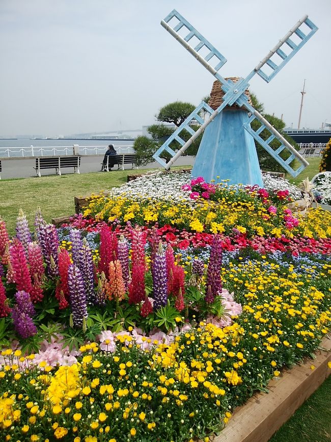 3ヶ月ぶりの横浜。<br />今度は港の見える丘公園に行きました。<br />横浜はやはり坂の街だなぁと、思いました。<br />日曜日は、やはり混んでいます。