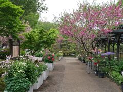 町田ぼたん園百花繚乱