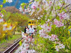 広島の桜　2019