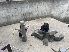 森吉・阿仁・鷹巣の旅行記