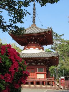 川越大師「喜多院」の江戸城遺構と五百羅漢