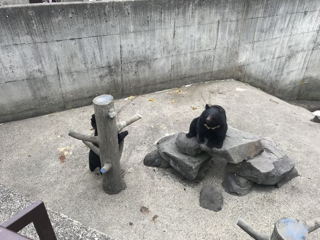 秘境感半端なし
