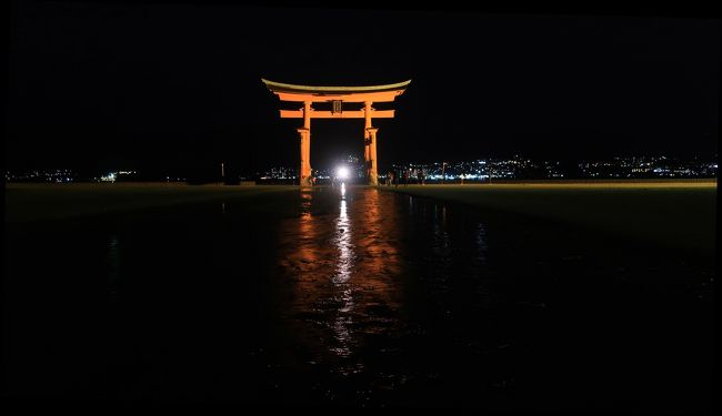 厳島神社、夜の部、海外の人が意外と多かった、シカたちも多いけど笑　2019 春