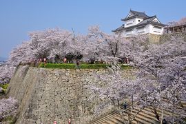 2019 さくらの名所を巡る旅《Part.3》 ～津山城＆城下町探訪① 豪壮な石垣群と1,000本の桜の競演～