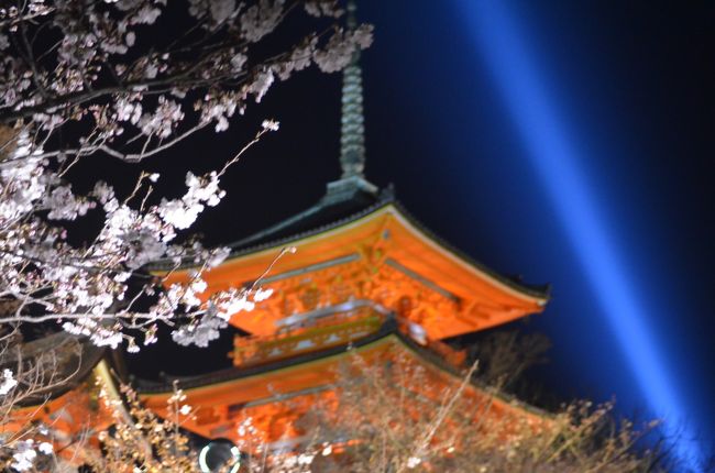 今日、令和時代が始まった。(令和元年５月１日）<br />平和な良い時代に成ることを願う。<br /><br />６年ぶりの京都のさくら。<br />それまで数年間は毎年訪れていたが、諸事情でなかなか訪れることが出来なかった。<br />今回も、日帰りの京都旅行と成ったが、出来る限り京都の桜を楽しんだ。<br />３つの地域に分けて報告する。<br /><br />（１）醍醐寺<br />　　　https://4travel.jp/travelogue/11477125<br />（２）嵐山、天竜寺<br />　　　https://4travel.jp/travelogue/11479301<br />（３）円山公園、清水寺<br />　　　https://4travel.jp/travelogue/11484263<br /><br />本旅行記は（３）の円山公園、清水寺。<br /><br />地下鉄東西線東山駅から、円山公園を通って清水寺まで歩いた。<br />円山公園では、美しい「祇園しだれ桜」を堪能。<br />八坂通り、二年坂、三年坂を通り京都の街並みを味わって清水へ。<br />清水寺では、初めてライトアップを見ることが出来た。<br />　<br />