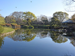 散歩・静岡市城北公園・静岡浅間神社・駿府公園付近 2019.04.03