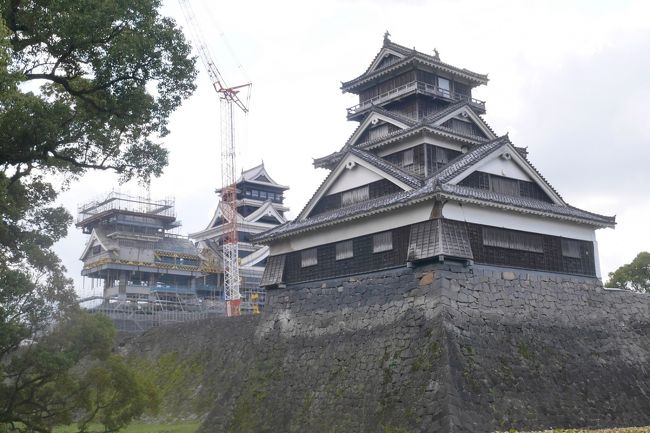 「天草・三角・熊本」を旅してきました。<br /><br />5回目は「熊本城」です。<br />市電に乗り、熊本城へ行き、紅蘭亭の太平燕と黒亭のらーめんを堪能します。<br /><br />往路　2019年3月8日　<br />ANA643　HND(羽田)→KMJ(熊本)<br />AMX202　KMJ(熊本)→AXJ(天草)<br /><br />復路　2019年３月11日<br />ANA650　KMJ(熊本)→HND(羽田)<br />※天草から熊本はレンタカー利用