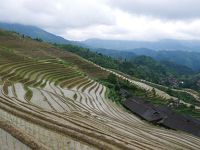 龍脊棚田（2018年6月従江三江旅行③）