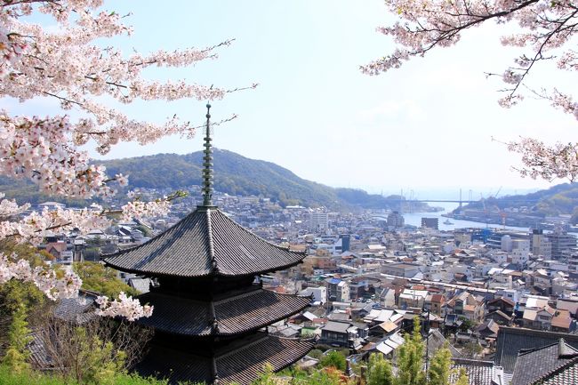 一昨年、宮島と錦帯橋へ桜を見に行ったことをFBにアップしたら、広島出身の後輩から「千光寺の桜も見事だから是非行ってみてください」と勧められました。尾道へは以前行ったことがありましたが、前々からウサギの島として脚光を浴びている大久野島へ行きたいと思っていたので、今回は尾道を拠点に2泊3日、桜、ネコ、そしてウサギに会う旅をしてきました。<br /><br />相変わらず写真撮りまくりの旅、しかも今回は夫が新しく購入したカメラを試したいと、同じ場所を設定を変えて何枚も撮るので膨大な枚数となり・・・整理に時間がかかったのなんのって!<br />桜の時期はとうに過ぎていますが、よろしければお付き合いください。<br /><br /><行程><br />1日目:羽田 →(広島・三原)→ 尾道<br /> 向島、尾道散策、千光寺桜鑑賞 尾道泊<br />2日目:尾道 → 大久野島 → 福山 → 尾道 <br /> 大久野島散策、福山城観光、千光寺の夜桜見物 尾道泊<br />3日目:尾道 →(三原・広島)→ 羽田<br /> 西國寺、千光寺桜鑑賞<br /><br />なお、旅行記は場所別に以下の内容でまとめました。<br />(1)坂の尾道 街歩き (本旅行記) <br />(2)桜に包まれた千光寺公園<br />https://4travel.jp/travelogue/11484486<br />(3)尾道で出会ったネコたち<br />https://4travel.jp/travelogue/11495062<br />(4)ウサギに癒された大久野島<br />(5)西國寺の桜 独り占め <br />