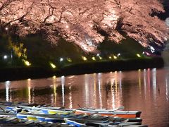 【九段下駅】昼も夜も美しい千鳥ケ淵の桜