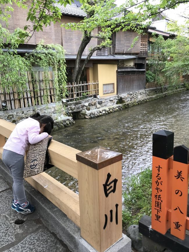 2019年のGWは10連休！<br />4歳の娘とどこも行かずに地元で過ごすのも間が持たないという事で、名古屋に4泊する事に。<br />更に急遽前倒して足を伸ばして京都にも2泊する事にしました。<br />