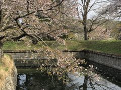 長野県・佐久旅行＊1泊2日①（3歳児連れ）