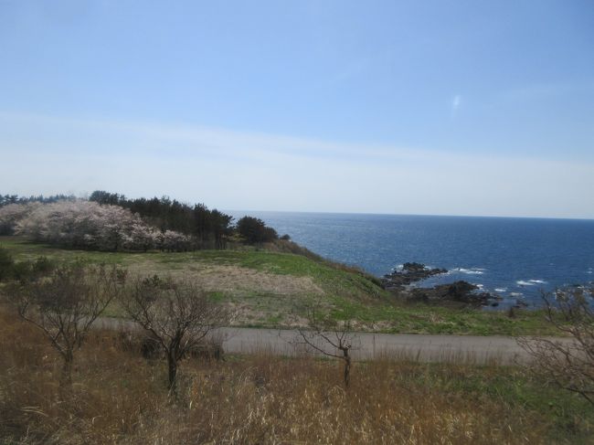 秋田から五能線に乗って弘前方面に向かいました。<br />天気にも恵まれ、車窓からの眺めは最高でした。<br />また、小説家・太宰治と歌手・吉幾三の出身地として有名な金木町の芦野公園に寄りました。<br />