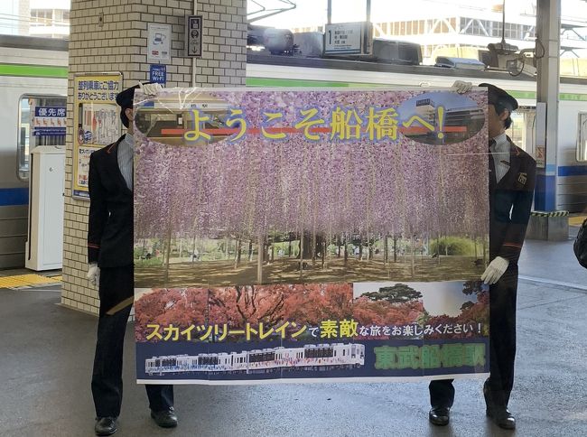 クラブツーリズム、貸切列車東武スカイツリートレイン乗車の旅であしかがフラワーパーク、足利学校へ行ってきました。