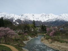 2019年04月　白馬の大出公園の桜と鬼無里のおやきを食べました。