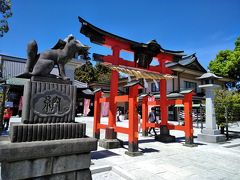 東松山「箭弓稲荷神社」の牡丹園