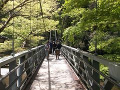 新緑の御嶽渓谷遊歩道を歩く