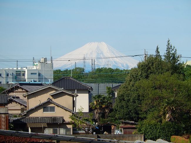 4月28日、午前7時46分頃にふじみ野市よりくっきりとした素晴らしい富士山が見られました。<br /><br /><br /><br />＊写真は素晴らしかった富士山