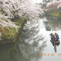 2019年　平成31年4月　春の東北、みちのく一人旅・弘前公園で花見 　弘前・青森で歩け歩け