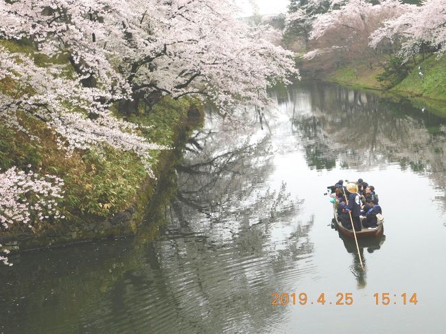 青森県　弘前で桜を堪能しました。