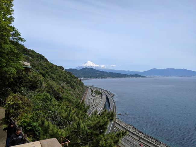 今朝の散歩時に富士山や箱根連山が綺麗に見え薩埵峠からも富士山を見たくなり出かけました。由比漁港での桜海老丼も楽しみにしていましたが案の定、ニュ－スの通り昨年からの不漁でお店もお休みでした。連休中で薩埵峠の駐車場も満車、少し離れたところに路駐させてもらい早足で写真だけ撮り下山、せっかく景色を観に来たので地元の農道経由でR-52の小島陣屋跡へ向いました。小島南交差点を山側に入りますと直ぐ左に石垣が見えてきました。歩いてみると思ったより広い城郭で少し感動、見学者は少なくゆっくり見学出来ました。天気、景色、空気最高。帰路R-1、箱根峠の吊橋見物車で大渋滞にはまり1時間以上ロスしましたが楽しいドライブでした。