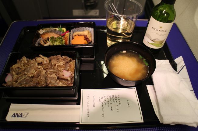 搭乗記録。ANAのプレミアムクラスの食事と神戸空港の様子。
