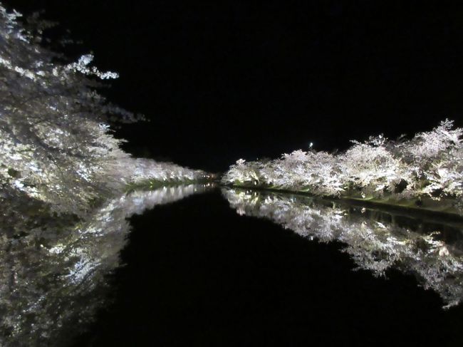 弘前に着いてから、夜桜を見に弘前城に向かいました。<br />桜は散り始めているようですが、それでも、大変美しい夜桜でした。<br />日本一！