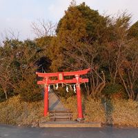 徳島の一番をめぐる。日本一低い山。一番のお寺。一番の神社。一番の芸術。