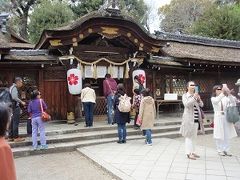 2018年京都観桜散策