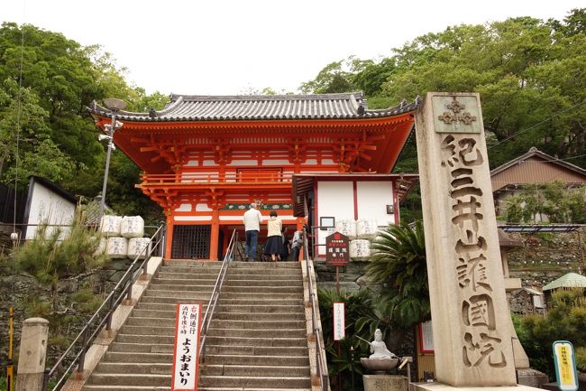 和歌山市の紀三井寺に行きました。当初の予定とは異なりましたが，そこから貴重なものを観ることもできました！色々な場所に行ってみるものです！