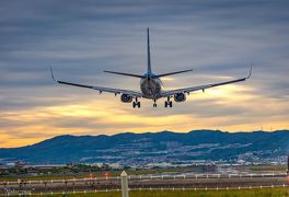 輝く　飛行機の翼　あこがれです～ ・ 舞洲　ネモフィラ　♪